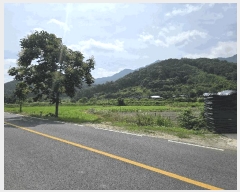  2025Ÿ��31359 ���� ���ֱ� ���̸� ��õ�� 489-5      ����(��)���