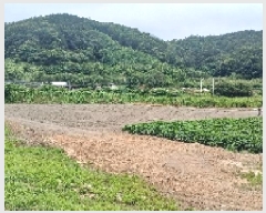  2025Ÿ��31359 ���� ���ֱ� ���̸� ��õ�� 489-5      ����(��)���