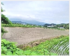  2025Ÿ��31359 ���� ���ֱ� ���̸� ��õ�� 489-5      ����(��)���