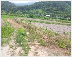  2025Ÿ��31359 ���� ���ֱ� ���̸� ��õ�� 489-5      ����(��)���