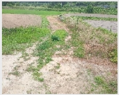  2025Ÿ��31359 ���� ���ֱ� ���̸� ��õ�� 489-5      ����(��)���