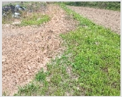  2025Ÿ��31359 ���� ���ֱ� ���̸� ��õ�� 489-5      ����(��)���