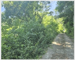  2025Ÿ31386  ֱ õ û 621      (1)