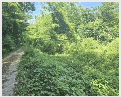  2025Ÿ31386  ֱ õ û 621      (1)