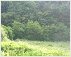  2025Ÿ31386  ֱ õ û 621      (1)