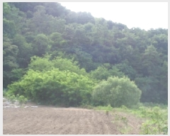  2025Ÿ31386  ֱ õ û 621      (1)