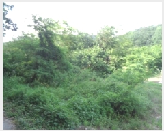  2025Ÿ31386  ֱ õ û 621      (1)