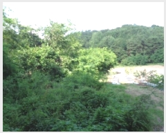  2025Ÿ31386  ֱ õ û 621      (1)