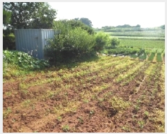  2025Ÿ��31408  �����