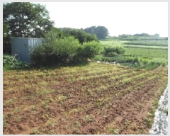  2025Ÿ��31408  �����