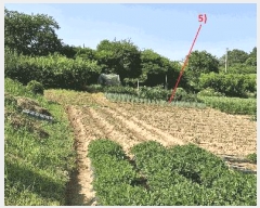  2025Ÿ31408   鱸  30-1      (Ӿ)