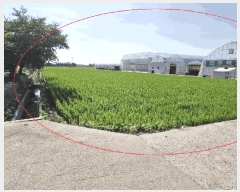  2025Ÿ31408   鱸  30-1      (Ӿ)