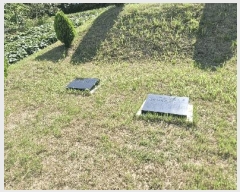  2025Ÿ31408   鱸  30-1      (Ӿ)