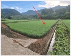  2025Ÿ��31412 ���� ���ȱ� ���� ���̸� 1149-3      ����(��)���