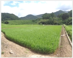  2025Ÿ��31412 ���� ���ȱ� ���� ���̸� 1149-3      ����(��)���