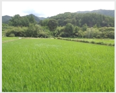  2025Ÿ��31412 ���� ���ȱ� ���� ���̸� 1149-3      ����(��)���