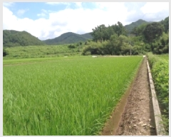  2025Ÿ��31412 ���� ���ȱ� ���� ���̸� 1149-3      ����(��)���