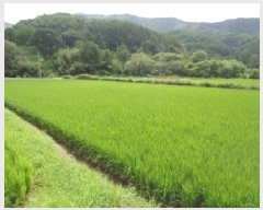  2025Ÿ��31412 ���� ���ȱ� ���� ���̸� 1149-3      ����(��)���