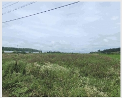  2025Ÿ��31429 ���� ���ֱ� �̼��� ���긮 621-3      ����(��)���