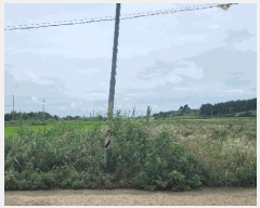  2025Ÿ��31429 ���� ���ֱ� �̼��� ���긮 621-3      ����(��)���