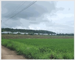  2025Ÿ��31429 ���� ���ֱ� �̼��� ���긮 621-3      ����(��)���