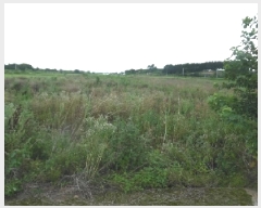  2025Ÿ��31429 ���� ���ֱ� �̼��� ���긮 621-3      ����(��)���