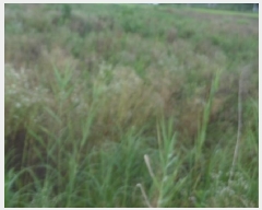  2025Ÿ��31429 ���� ���ֱ� �̼��� ���긮 621-3      ����(��)���