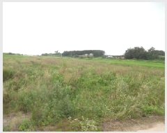  2025Ÿ��31429 ���� ���ֱ� �̼��� ���긮 621-3      ����(��)���