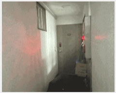  2025Ÿ��31433 ���� ���ֽ� ������ ���ĵ�1�� 837-3      �ܵ�����,�����ð��