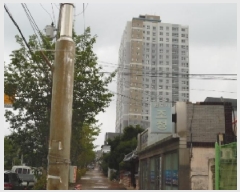  2025Ÿ��31450  ����Ʈ���