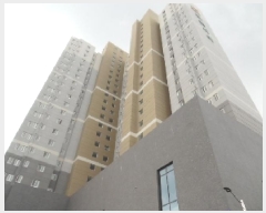  2025Ÿ��31450  ����Ʈ���