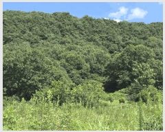  2025Ÿ��31471  �������