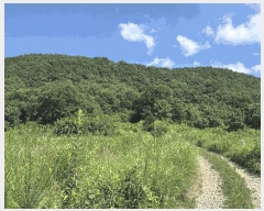  2025Ÿ��31471  ����