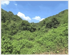  2025Ÿ��31471  ����