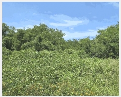  2025Ÿ��31471  �������