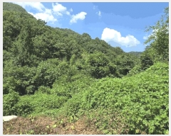  2025Ÿ��31471  �������