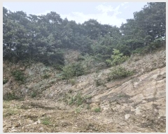  2025Ÿ��31484  �Ӿ߰��