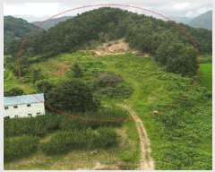  2025Ÿ��31484  �Ӿ߰��