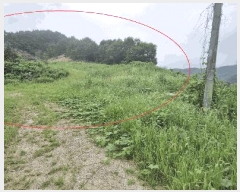  2025Ÿ��31484  �Ӿ߰��