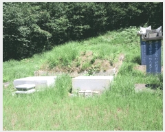  2025Ÿ��31507 ���� ���ֱ� ����� �Ǿϸ� ��252-1      ����(�Ӿ�)���