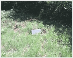  2025Ÿ��31507 ���� ���ֱ� ����� �Ǿϸ� ��252-1      ����(�Ӿ�)���