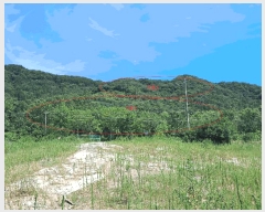  2025Ÿ��31507 ���� ���ֱ� ����� �Ǿϸ� ��252-1      ����(�Ӿ�)���