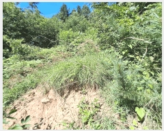  2025Ÿ��31507 ���� ���ֱ� ����� �Ǿϸ� ��252-1      ����(�Ӿ�)���