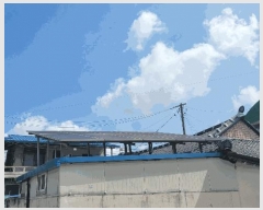  2025Ÿ��31518  ���ð��