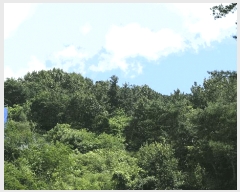  2025Ÿ��31539  �Ӿ߰��