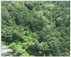  2025Ÿ��31539  �Ӿ߰��