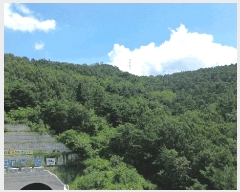  2025Ÿ��31539  �Ӿ߰��