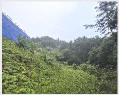  2025Ÿ��31539  �Ӿ߰��