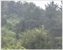  2025Ÿ��31539  �Ӿ߰��