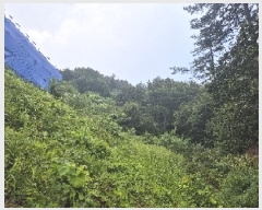  2025Ÿ��31539  �Ӿ߰��